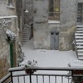 Neve Spinazzola Domenico