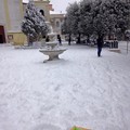 Neve Spinazzola Fabiola