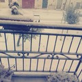 Neve Spinazzola Maria Antonietta