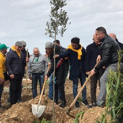 100 alberi a dimora nell'area camper comunale