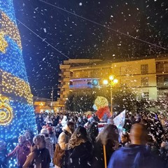 Albero di Natale Spinazzola