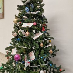 Vivere la magia del Natale: a Spinazzola i laboratori del Gruppo Giovanile della parrocchia Annunziata