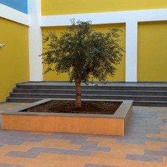 Istituto Mazzini De Cesare Fermi