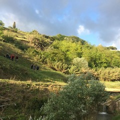 "In cammino nei parchi", 200 escursionisti a Spinazzola