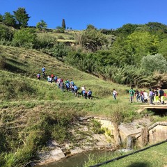 "In cammino nei parchi", 200 escursionisti a Spinazzola