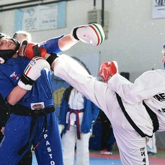 Taekwondo Itf, successo nel medagliere per il Team Pistillo-Spinazzola