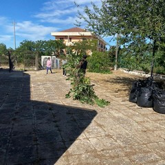 Nella sede CPIA di Spinazzola realizzato il progetto "Scuola e Natura: Insieme per un Giardino Pulito"