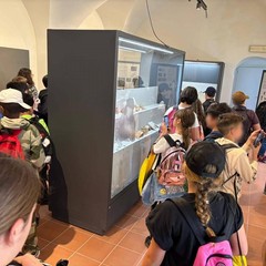 Gli alunni dell'istituto Baldassarre di Trani alla scoperta del territorio di Spinazzola