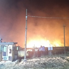 Fiamme sull’Alta Murgia, 500 ettari bruciati: Vigili del Fuoco al lavoro da ore