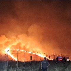 Fiamme sull’Alta Murgia, 500 ettari bruciati: Vigili del Fuoco al lavoro da ore