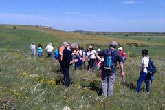 Trekking sulla Murgia minervinese, iniziativa il 1 maggio