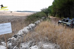 Sequestro su area protetta del Parco Nazionale dell’Alta Murgia: coinvolta società di Spinazzola