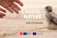 La Lipu cerca volontari con il progetto europeo “Choose Nature”