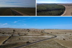 Biciplan metropolitano: completata la pista ciclopedonale tra Poggiorsini e San Magno