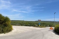 Viabilità provinciale, Di Noia: «Affidati i lavori per lo sfalcio dell’erba»