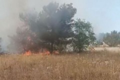 Incendio in località Monte Caccia a Spinazzola