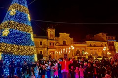 Spinazzola, il grande albero di Natale si illumina
