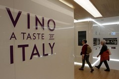 Expo 2015, vini pugliesi protagonisti al "Vino - A taste of Italy"