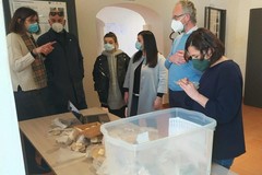 Preziosi reperti trovano casa al Museo Civico di Spinazzola