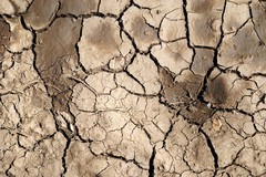 Coldiretti plaude al riconoscimento dello stato di calamità naturale in Puglia