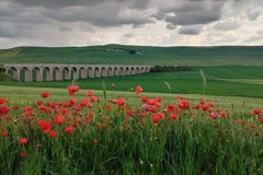 Spinazzola è nell’elenco dei Comuni montani