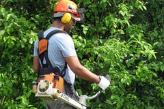 Coronavirus, riparte la silvicoltura e la manutenzione del verde in città