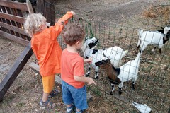 Agriturismo e masserie didattiche, il vademecum per ripartire in sicurezza