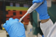 Vaccino Novavax, open day nella Asl Bt