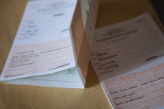 Referendum sulla Giustizia 2026, affluenza ore 12: a Spinazzola ha votato il 10,41%