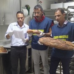 Pane di Altamura falso, sventata truffa in Puglia, Molise, Campania e Calabria