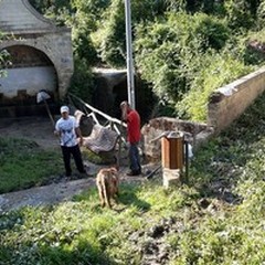 Fontana  "San Francesco ": il ritorno in vita grazie al volontariato