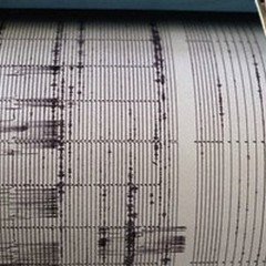 Terremoto in Provincia: epicentro tra Minervino e Spinazzola, magnitudo 2.1