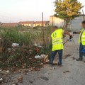 Volontari al lavoro per la pulizia della città