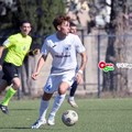 Nuova Spinazzola, il resoconto delle prime giornate di campionato: salvezza raggiungibile?
