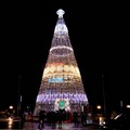 Il lungomare di Bari risplende per Natale grazie all'albero di Megamark