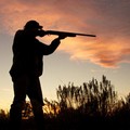 Caccia, in Puglia vietato cacciare sino al 24 ottobre