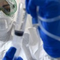 Coronavirus, in Puglia 120 nuovi casi positivi di cui 35 nella Bat
