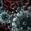 Coronavirus, una nuova giornata senza contagi nella Bat