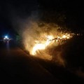 Sedato incendio sulla strada Minervino-Spinazzola
