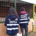 Corso per Guardie zoofile dell'Oipa Bat: aperte le iscrizioni