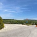 Viabilità provinciale, Di Noia: «Affidati i lavori per lo sfalcio dell’erba»