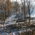 Incendio Bosco di Acquatetta, Tarantini: «Perdita di biodiversità immensa»