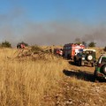 Bosco di Acquatetta ancora in fiamme, circa 200 ettari distrutti