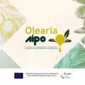 Monitoraggio della mosca dell'olivo, bollettino fitosanitario del 15 novembre