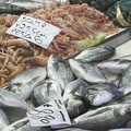 Consumi, aumenta la domanda di pesce nelle festività ma occhio alla provenienza