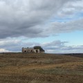 Oltre 39 mila stranieri occupati nell'agricoltura pugliese