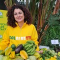 Clima tropicale in Puglia, aumenta la coltivazione di frutti esotici