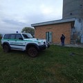 Sventato furto di gasolio nelle murge dalle Guardie Ambientali d'Italia