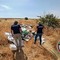 Abbandono di rifiuti nel Parco Nazionale dell'Alta Murgia: non si ferma l'emergenza degli scarichi abusivi