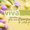 Per una Pasqua di pace, ovunque: auguri dal Viva Network